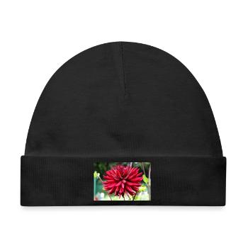 Dahlie rot Blüte ,Blume - Baby Premium Organic Mütze - Schwarz - Vorne
