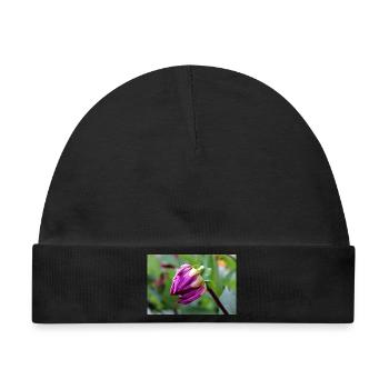 Dahlie rot violett Blüte ,Blume - Baby Premium Organic Mütze - Schwarz - Vorne