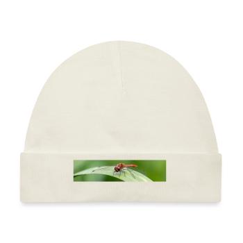 Libelle auf Grashalm - Baby Premium Organic Mütze - Naturweiß - Vorne