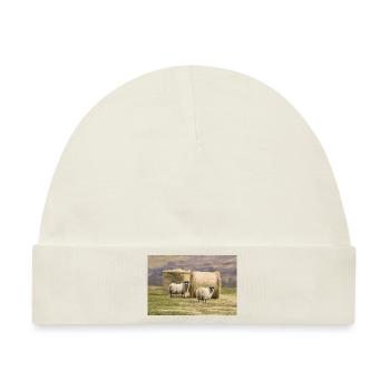 Schaf Ovis in Irland - Baby Premium Organic Mütze - Naturweiß - Vorne