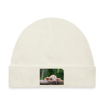 Das kleine Kalb hinter der Barriere - Baby Premium Organic Mütze - Naturweiß - Vorne