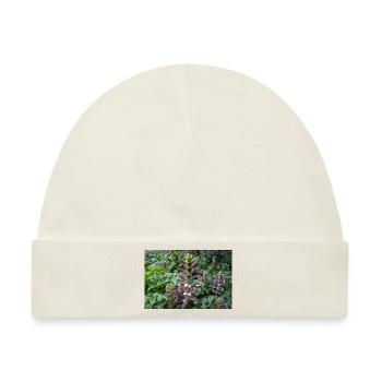 Bären-Steiß Acanthus spinosus - Baby Premium Organic Mütze - Naturweiß - Vorne