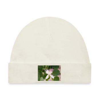 Kapernstrauch auch Flinders-Rose Capparis spinosa - Baby Premium Organic Mütze - Naturweiß - Vorne