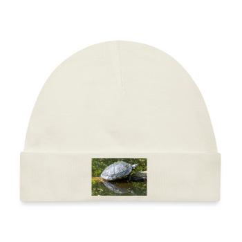Yellow-bellied slider Gelbbauch-Schmuckschildkröte - Baby Premium Organic Mütze - Naturweiß - Vorne