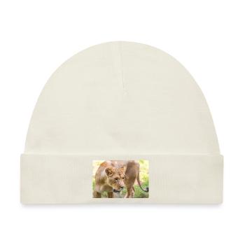 Löwin Löwin Panthera leo - Baby Premium Organic Mütze - Naturweiß - Vorne