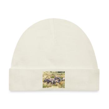 Oryx-Gemsbock-Antilope (Oryx gazella) - Baby Premium Organic Mütze - Naturweiß - Vorne