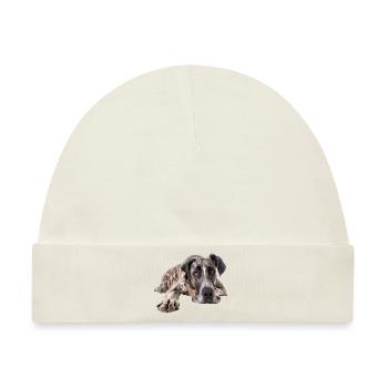 Great Dane - Baby Premium Organic Mütze - Naturweiß - Vorne