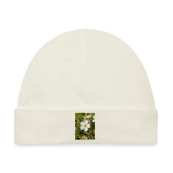 Felsenfingerkraut Felsen-Fingerkraut Potentilla - Baby Premium Organic Mütze - Naturweiß - Vorne
