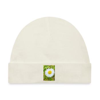 Sonniges Gänseblümchen - Baby Premium Organic Mütze - Naturweiß - Vorne