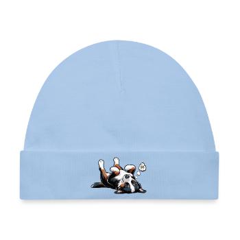 Appenzeller Sennenhund Sennenhunde Sennenhundmama - Baby Premium Organic Mütze - Hellblau - Vorne