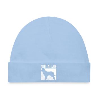 Chesapeake Bay Retriever - Baby Premium Organic Mütze - Hellblau - Vorne
