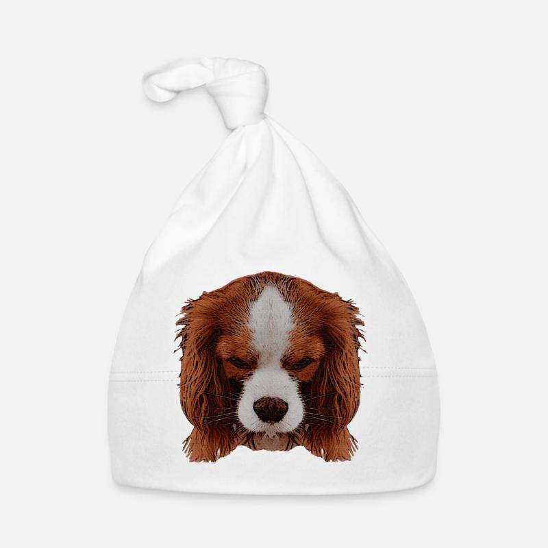 süße tierfotos, Cavalier King Charles Spaniel Baby Bio-Mütze