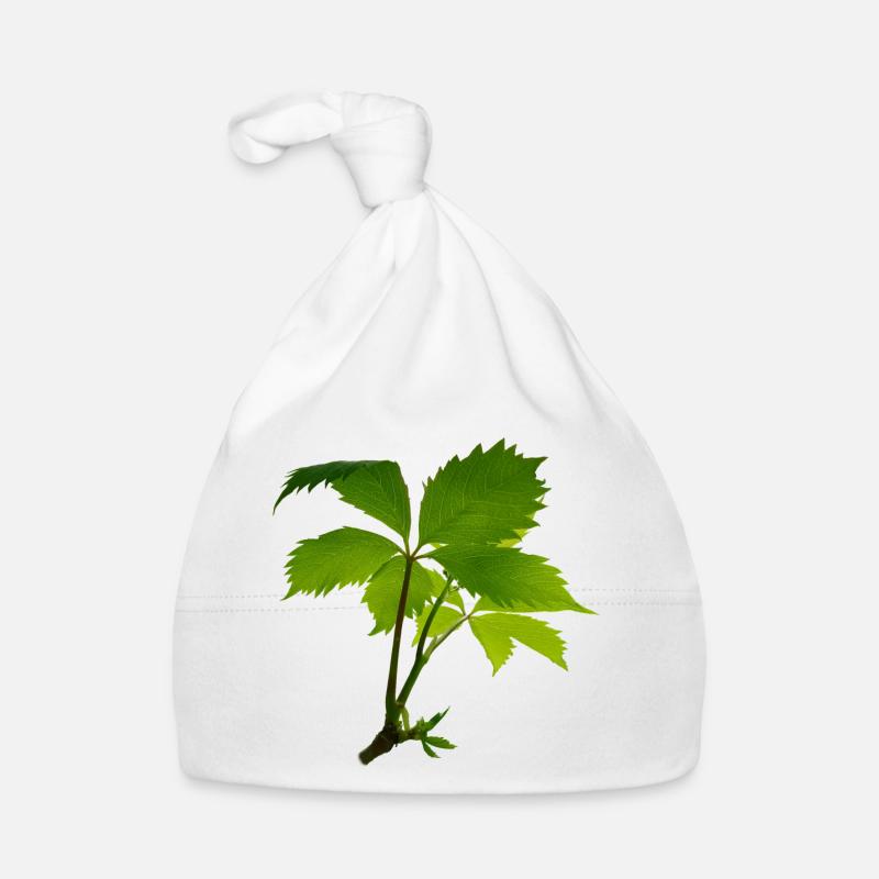 Young foliage – green leaf branch Organic Baby Cap