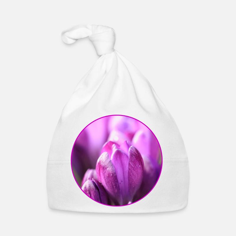 Crocus Crocus Fleurs violettes Crocus Bourgeon de crocus Bonnet bio Bébé