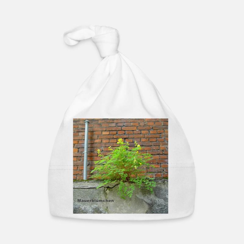Mauerblümchen am Mauerwerk Baby Bio-Mütze