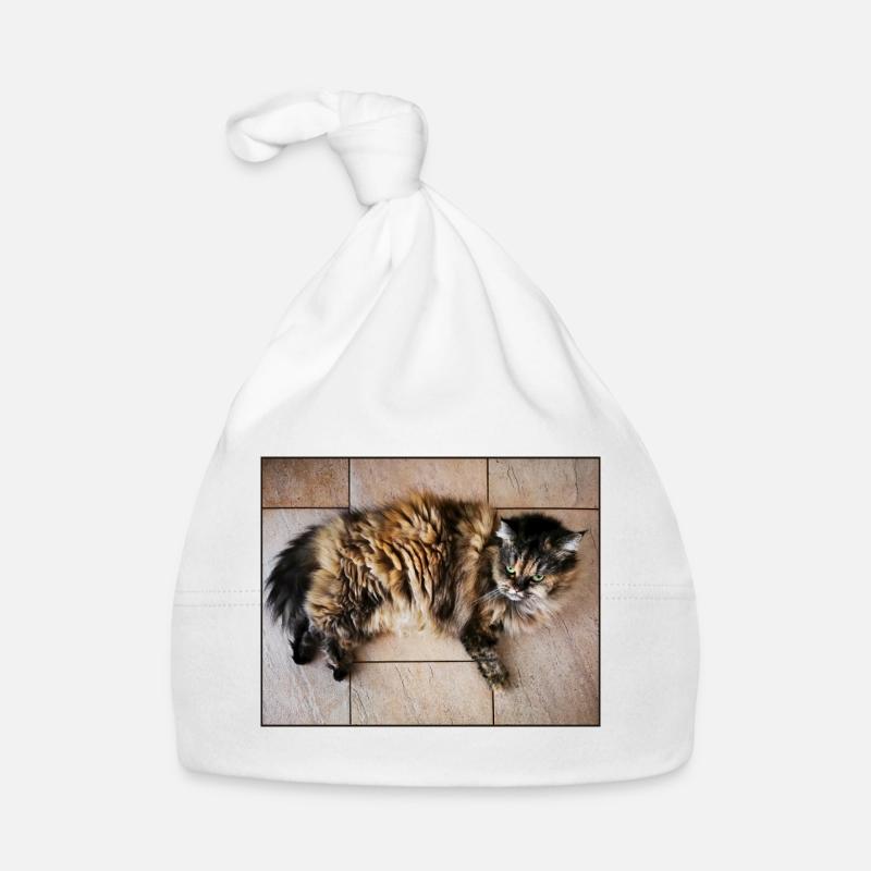 Chaton Bonnet bio Bébé