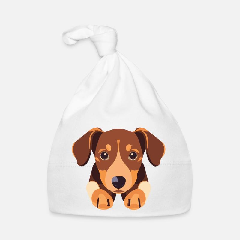 Chiot chien teckel mignon Bonnet bio Bébé