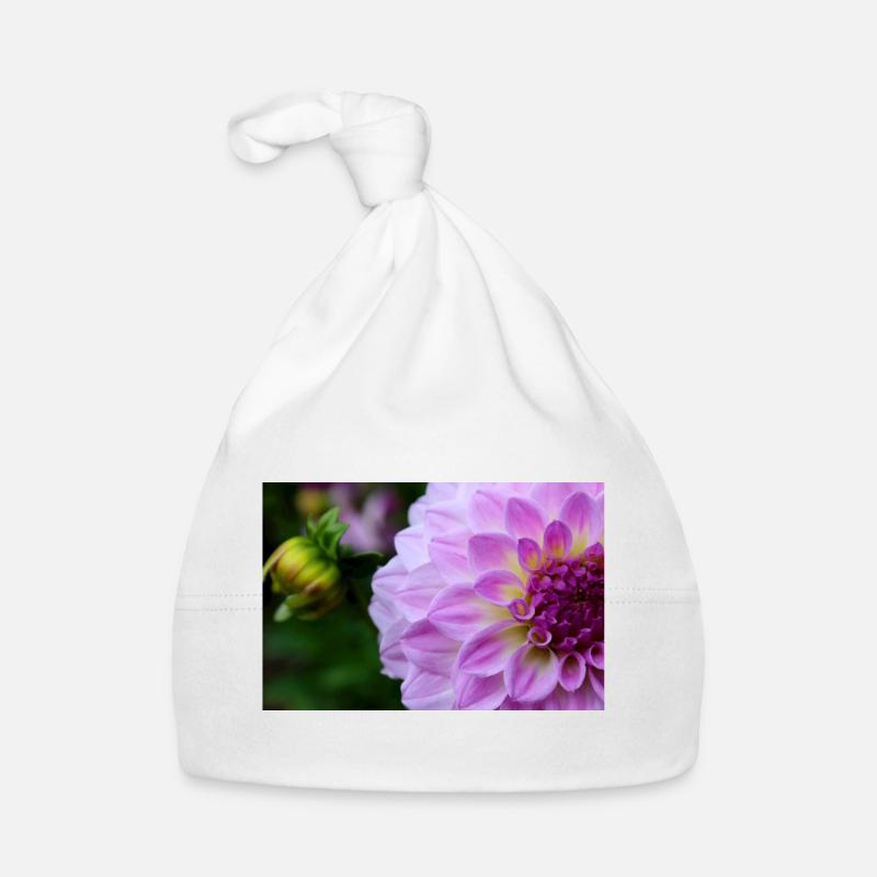 Dahlia rose rose Violet fleur, fleur Bonnet bio Bébé