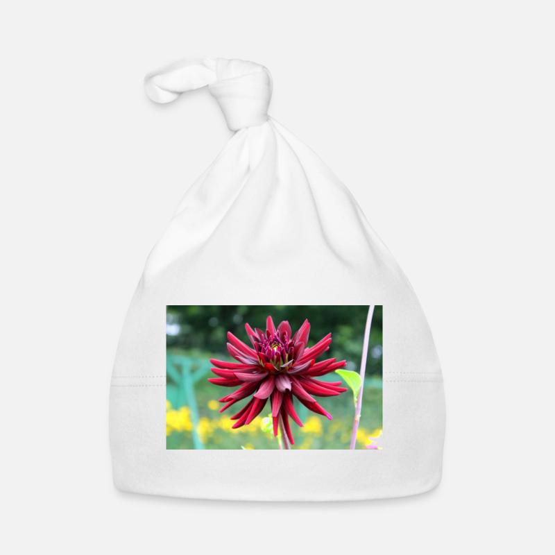 Bonnet bio Bébé