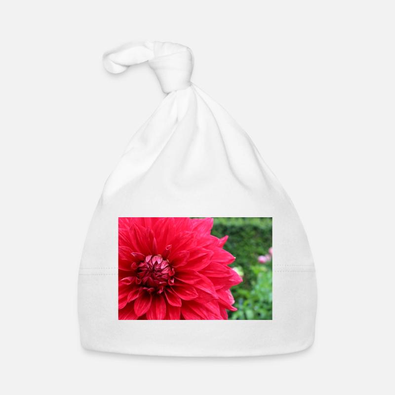 Dahlia Fleur Rouge, Fleur Bonnet bio Bébé