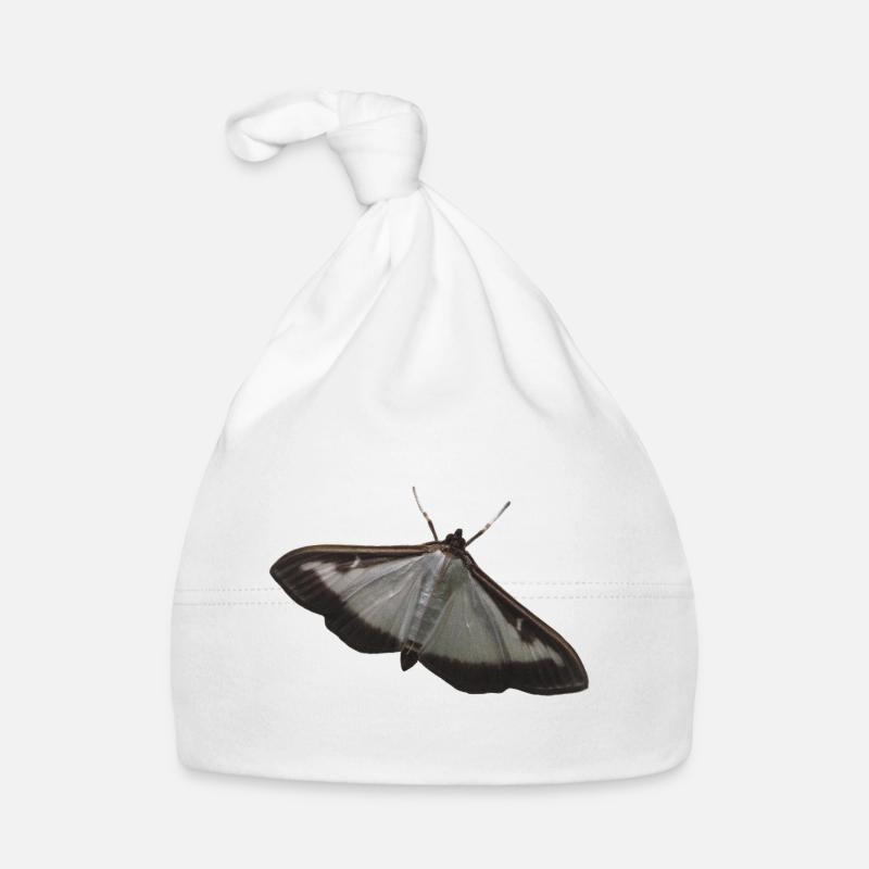 box tree moth - Organic Baby Cap - white