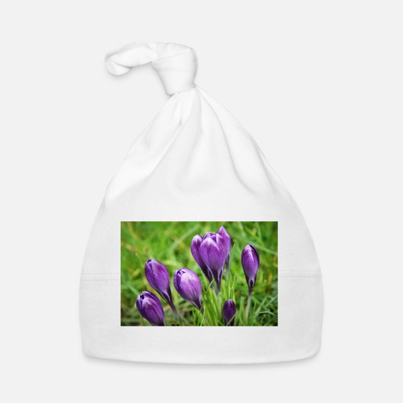 Grappe de crocus violet dans le jardin de printemps Bonnet bio Bébé