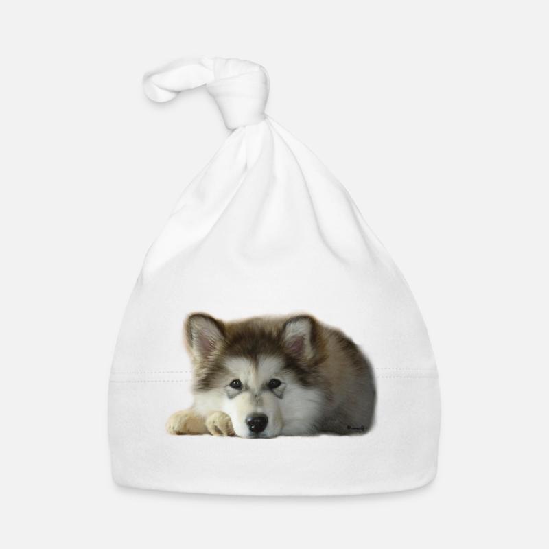 Chiot malamute Maia Bonnet bio Bébé