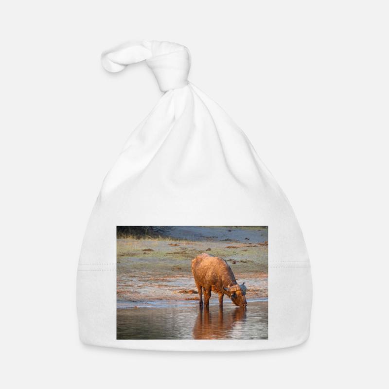 Paysage à la rivière Cubango avec le buffle du Cap Bonnet bio Bébé