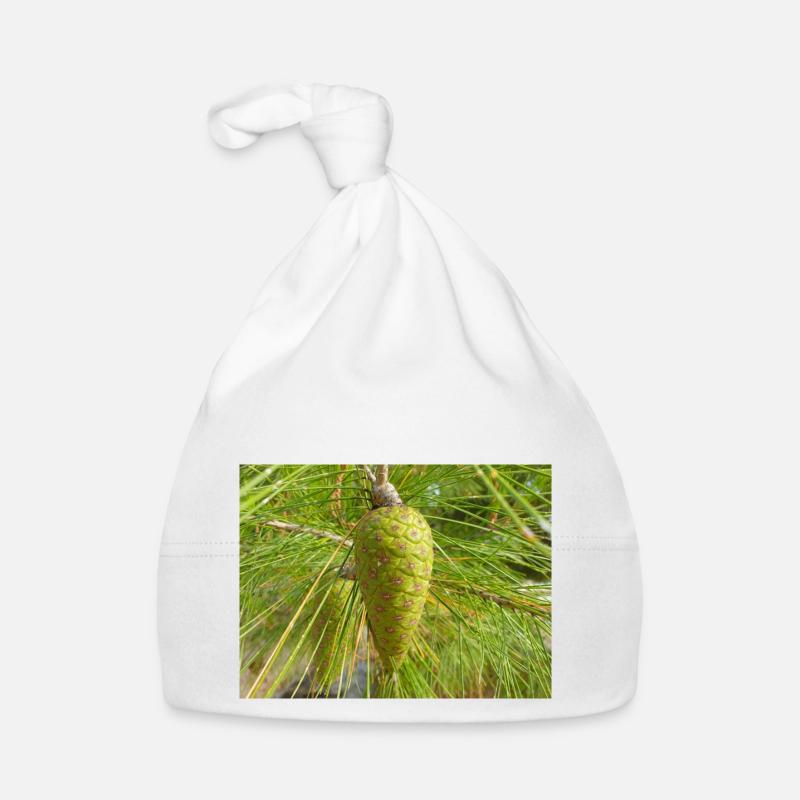 Aleppo pine also Jerusalem pine Aleppo-Kiefer Organic Baby Cap