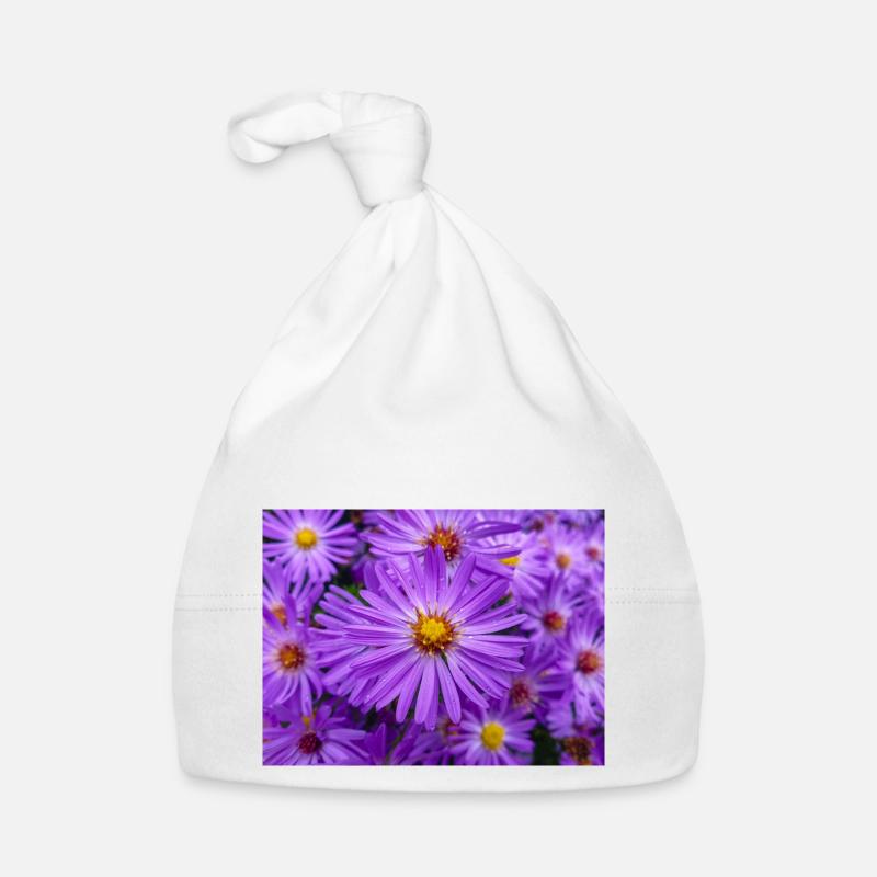Aster de la Nouvelle-Angleterre aussi poilu Michaelmas-daisy Bonnet bio Bébé