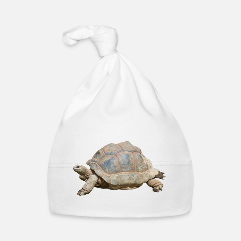 turtle schilkroete - Baby Bio-Mütze - Weiß