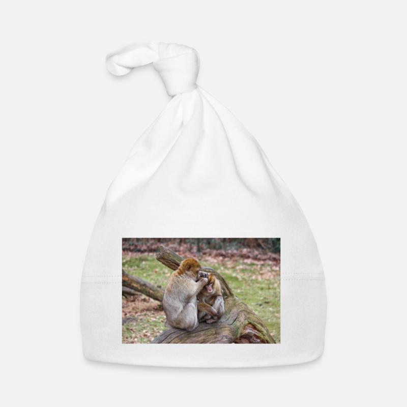 Macaques de Barbarie (Berberaffe) Macaca sylvanus Bonnet bio Bébé