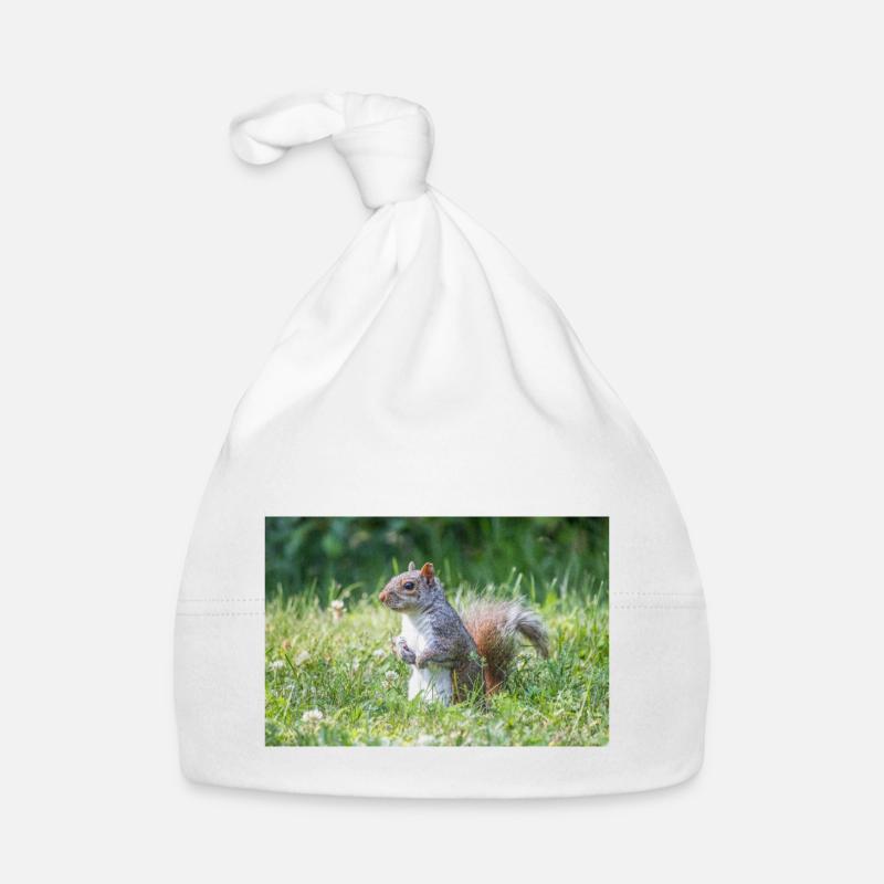 stehendes Grauhörnchen (Sciurus carolinensis) grey Baby Bio-Mütze