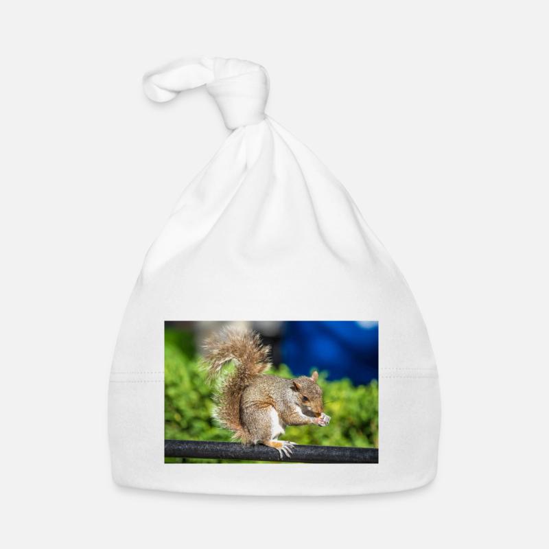 Eating Grey squirrel Grauhörnchen Sciurus carolin Organic Baby Cap
