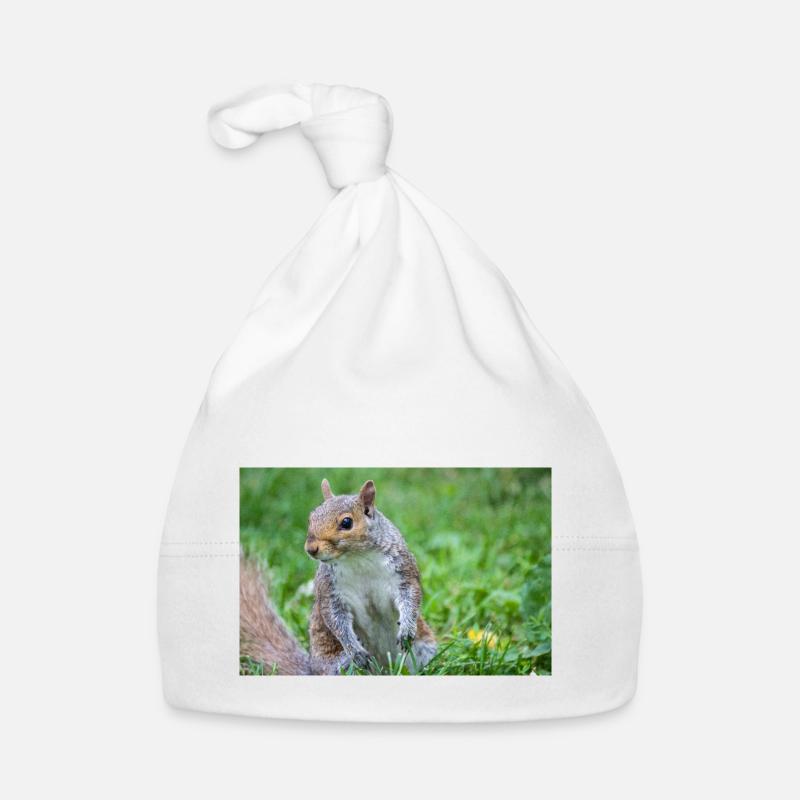 Grey squirrel Grauhörnchen Sciurus carolinensis Organic Baby Cap