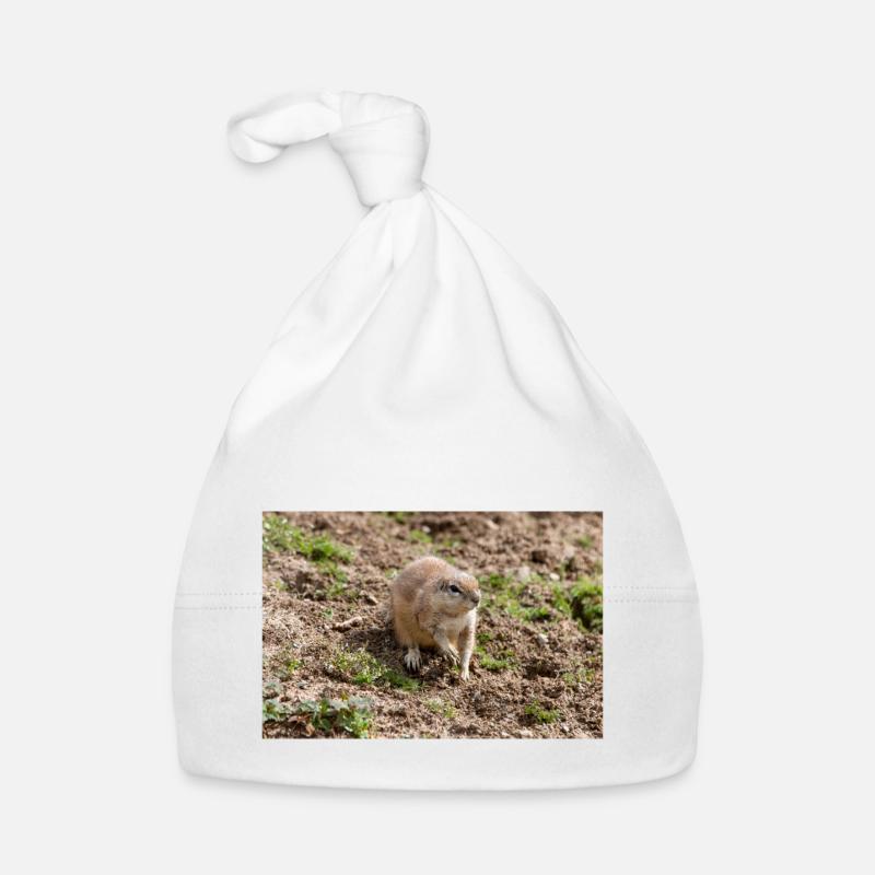 African ground squirrels Borstenhörnchen Xerus Organic Baby Cap