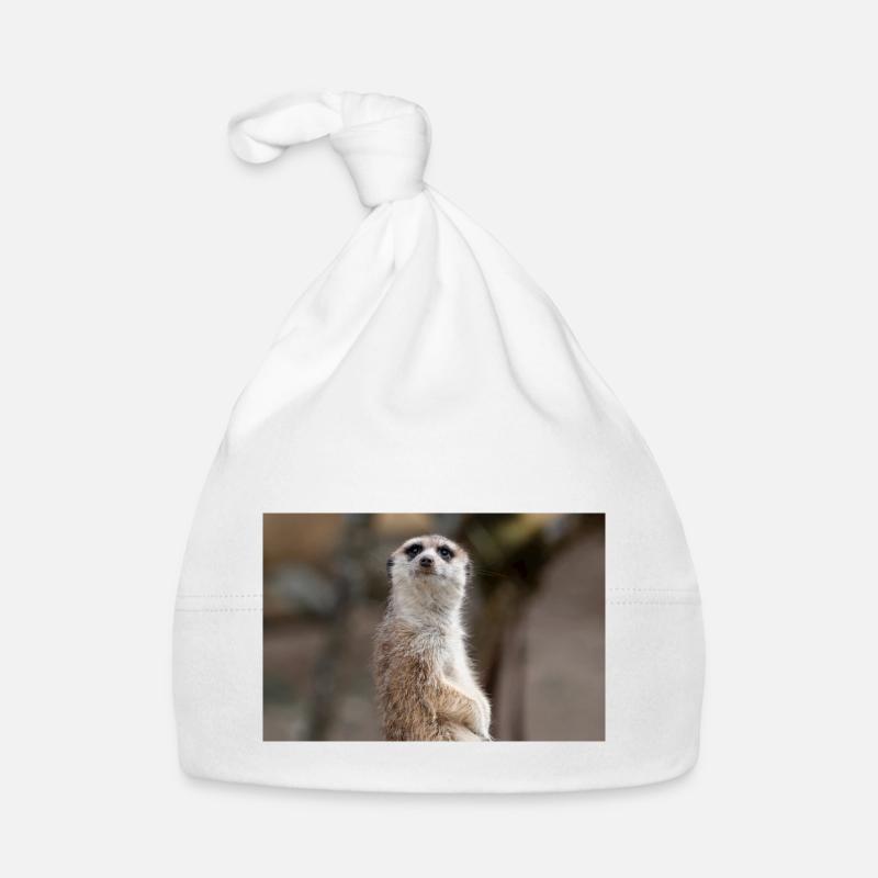 Erdmännchen Suricata suricatta Baby Bio-Mütze