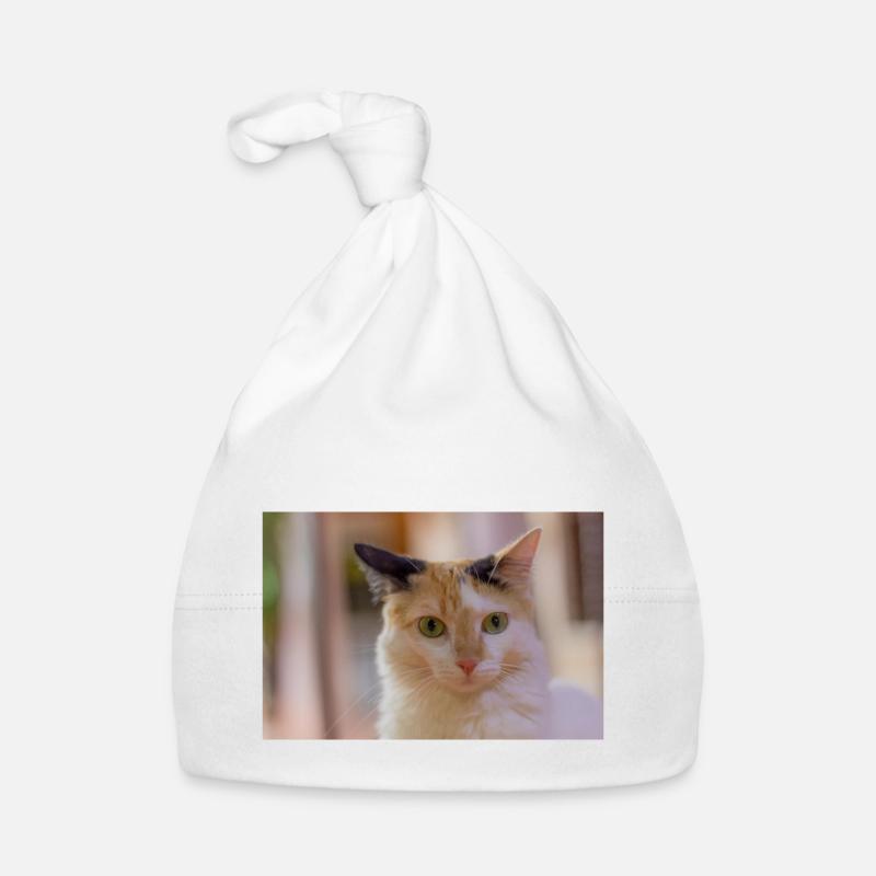 le chat Bonnet bio Bébé