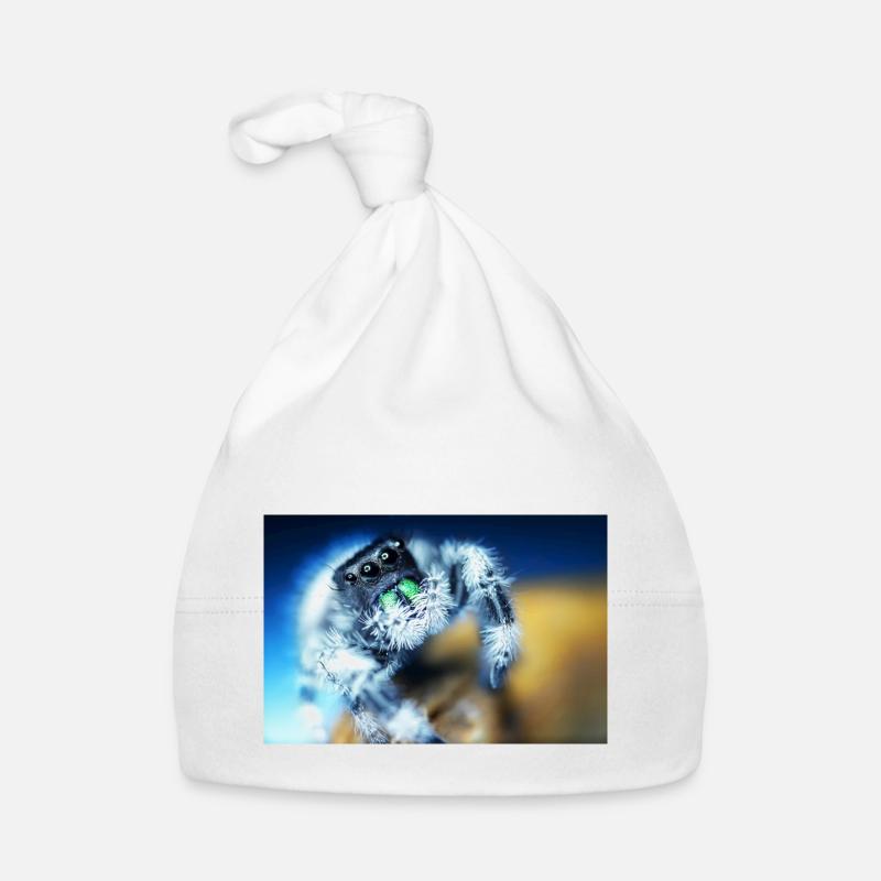 Araignée sauteuse, Phidippus regius, araignée sauteuse Bonnet bio Bébé