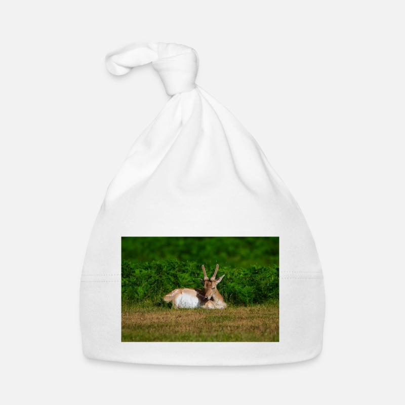 Fallow 1 Organic Baby Cap