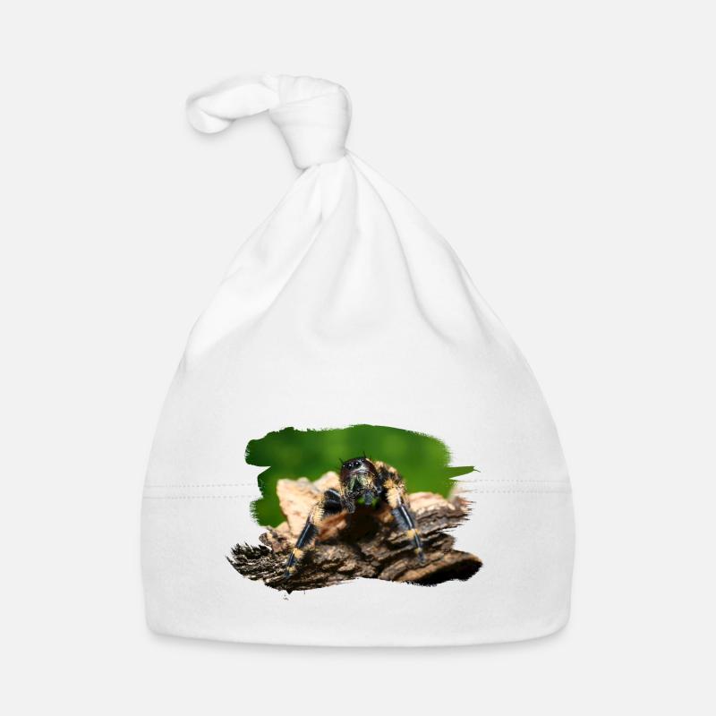 phidippus otiosus jumping spider, spring spinne Baby Bio-Mütze