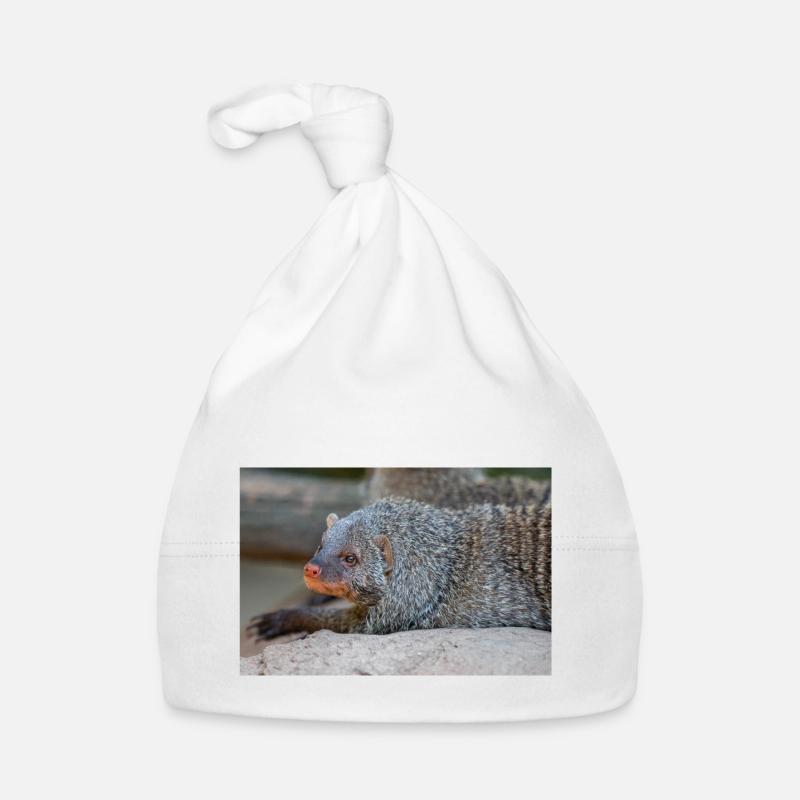 Banded Mongoose or Zebra Mongoose Zebramanguste Organic Baby Cap