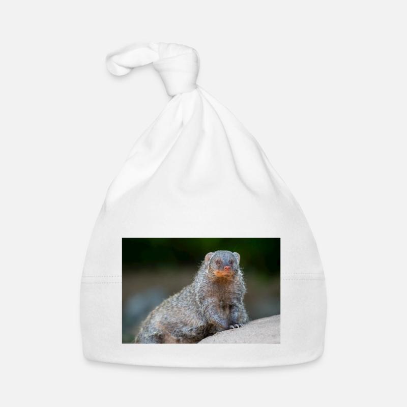 Banded Mongoose Zebra Mongoose Zebramanguste Organic Baby Cap