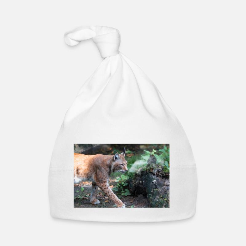 Eurasischer Luchs oder Nördlicher Luchs Baby Bio-Mütze