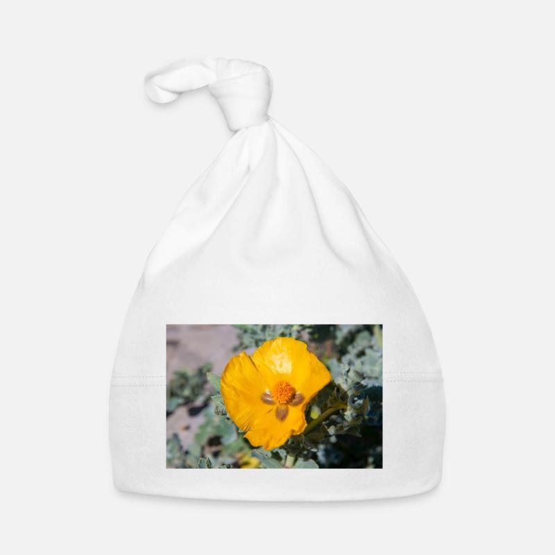 Hornmohn auch Hornmohn oder Seemohn (Gelber Baby Bio-Mütze