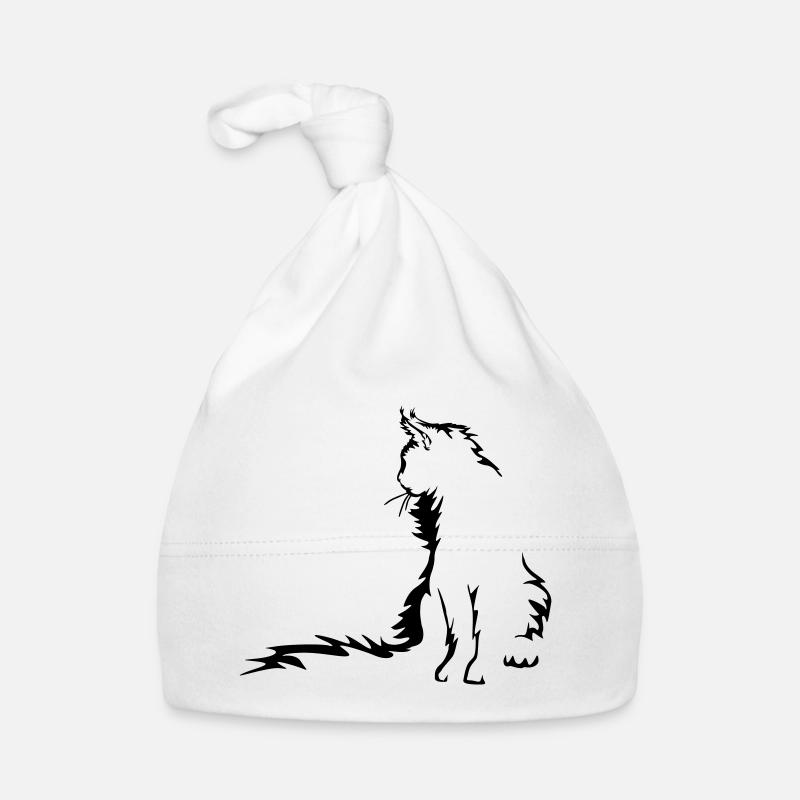 Chat Maine Coon Bonnet bio Bébé