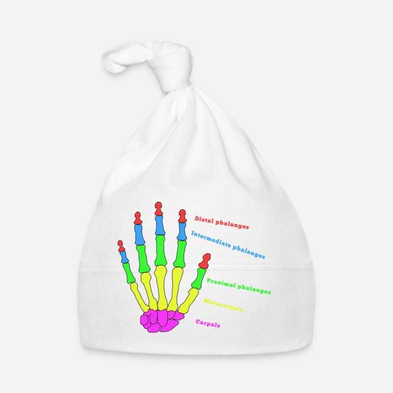 mains os anatomie humain évolution Physio Bonnet bio Bébé