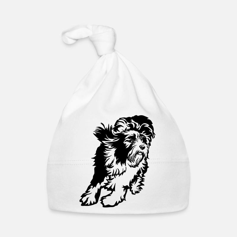 Bearded Collie Bonnet bio Bébé