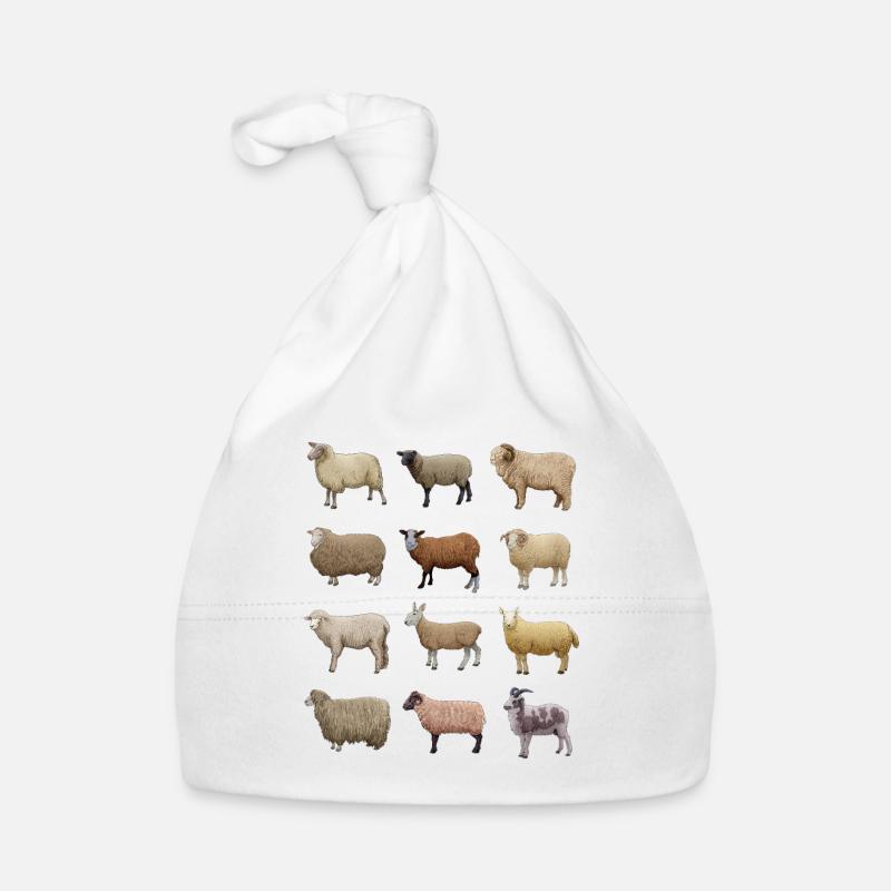 Dessins de moutons - Races de moutons Bonnet bio Bébé