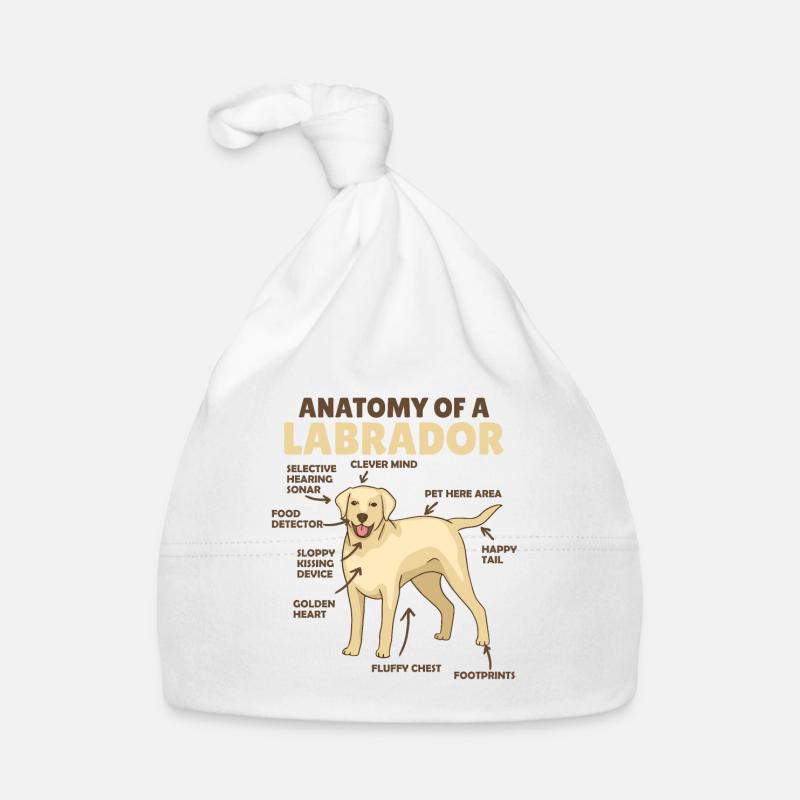 Anatomie eines Labradors Retriever süße Hunde Baby Bio-Mütze